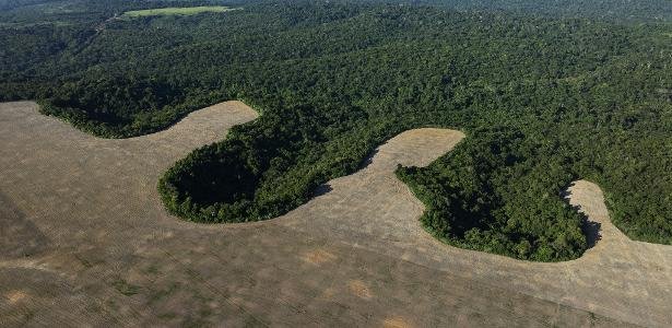 Brazil loses an area equivalent to Bolivia in natural areas over 40 years