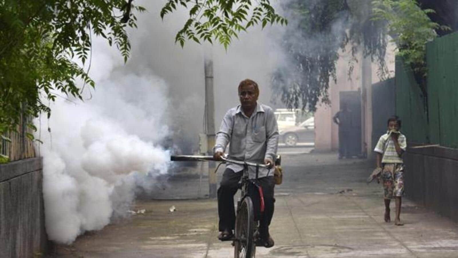 concern grows as over 250 dengue patients currently untraced in delhi