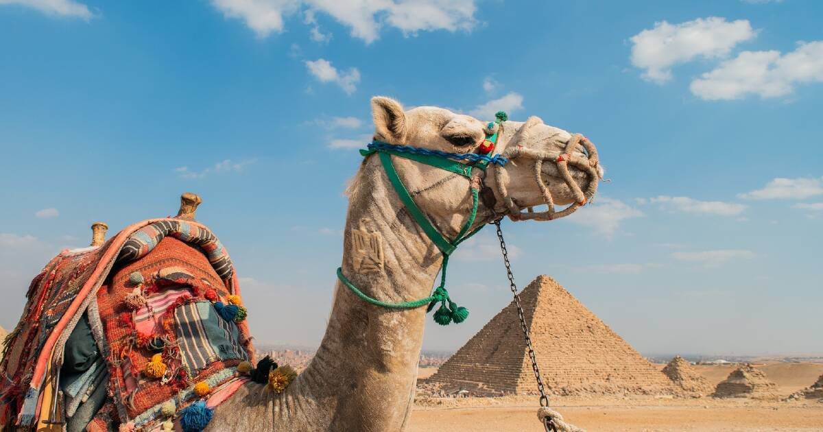 Egypt sees increase in tourism following updated travel advice from Australian government