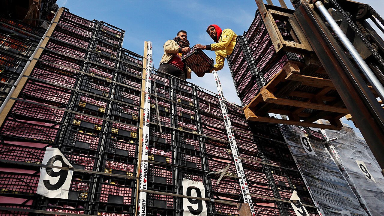 israel palestinians/gaza ceasefire egypt border