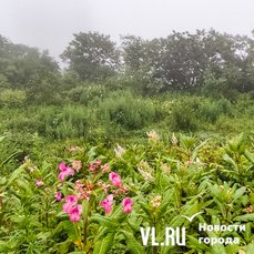 From September 1st, new criteria for expropriating ownerless land plots will be enforced in Russia