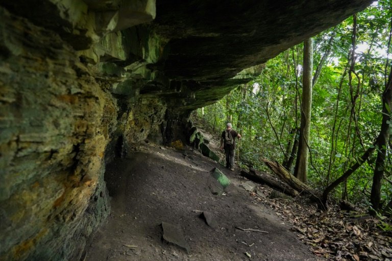 Gabon Forest Cave Unveils Insights into Prehistoric Central Africa