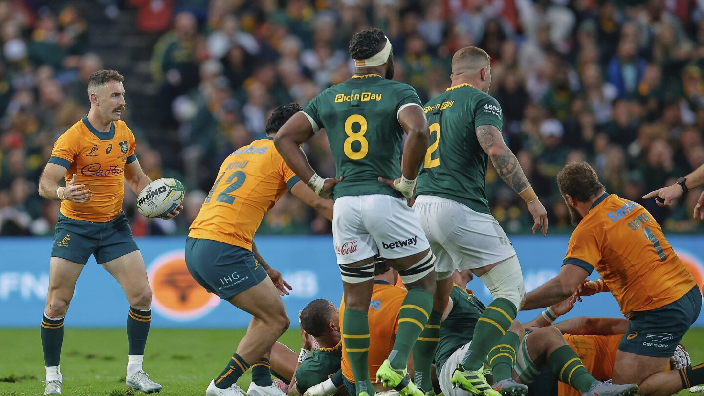 Rugby World Cup Champions Springboks Seek Redemption Against Wallabies After Upsetting Loss