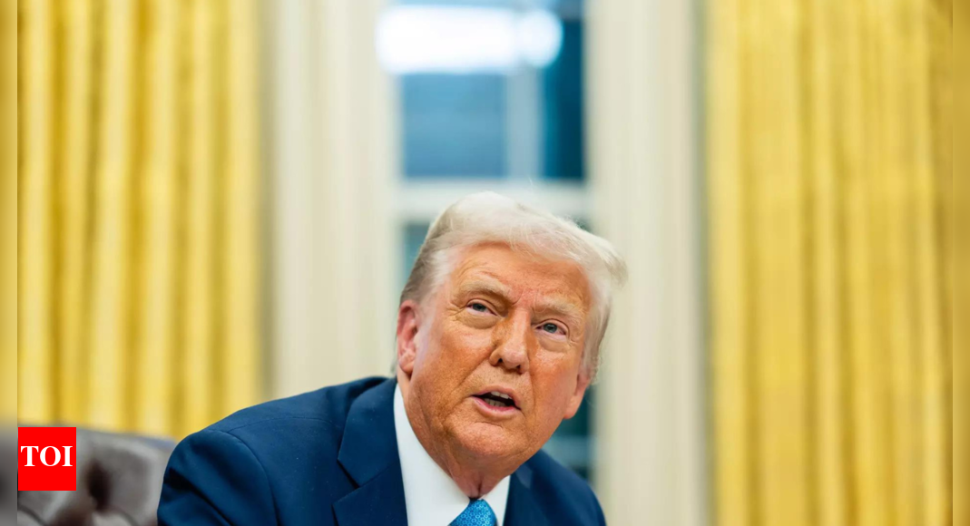 ‘Shooting Itself in the Foot’: US Economist Criticizes Trump’s India Tariff Move; Issues Brics Warning