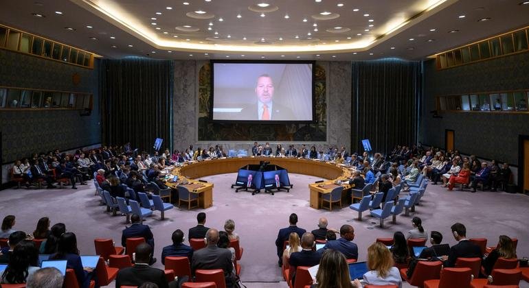 UN Security Council discusses maritime safety: IMO Secretary-General calls for enhanced international cooperation to address emerging challenges