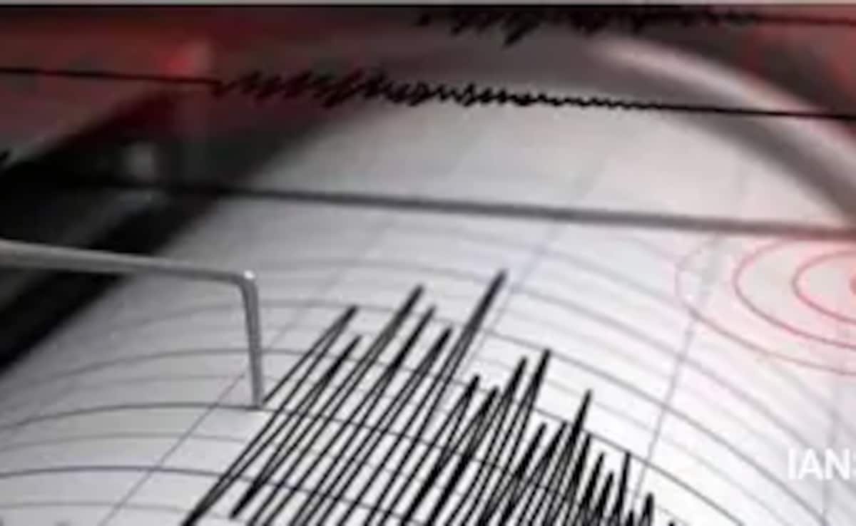 6.1 magnitude quake hits indonesias central papua