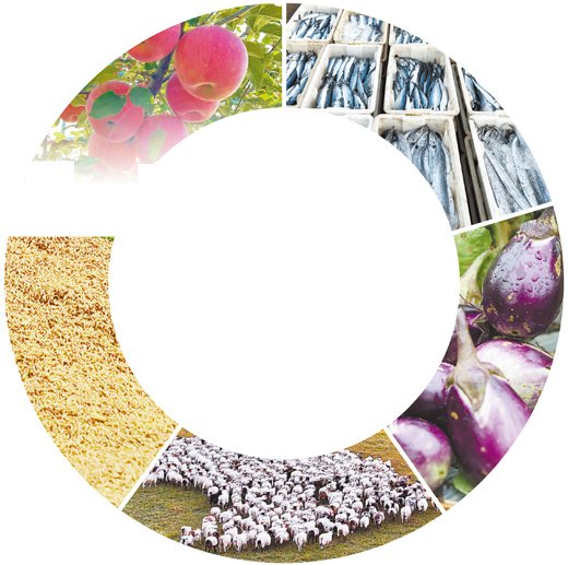Abundant Harvest in China: A Colorful Tapestry