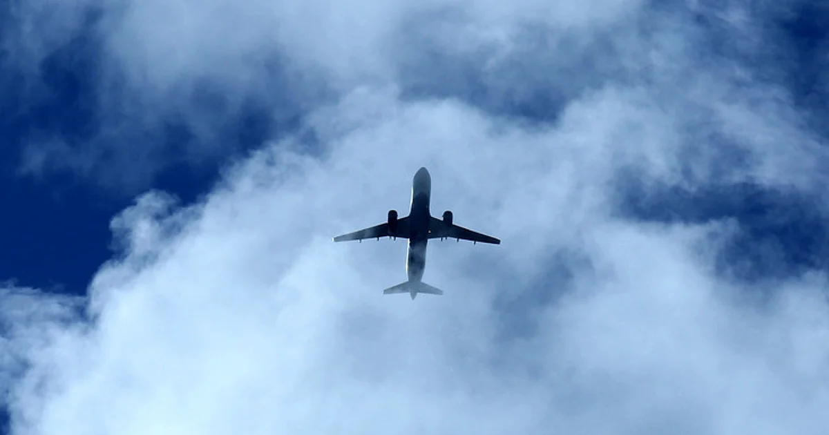 Afghan Teen Deported After Stowing Away on Flight to Delhi