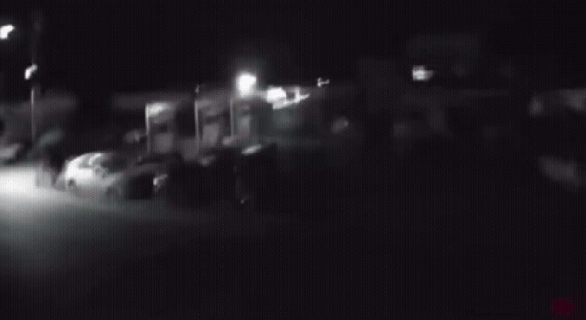 Afghanistan: Videos show moment earth starts shaking during earthquake