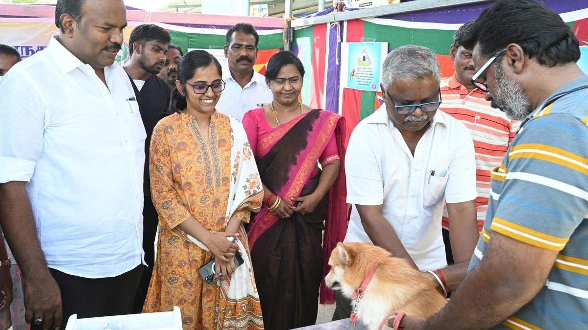 anti rabies vaccination camps expanded in thoothukudi