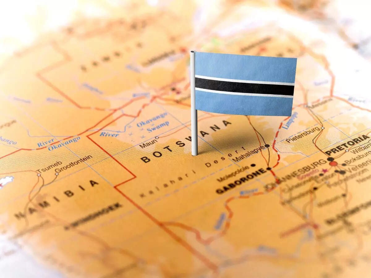 Botswana, South Africa Launches Citizenship Program to Boost Country’s Economy