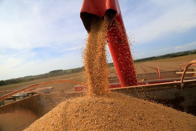 Cade’s decision on soy moratorium has the potential to influence Brics