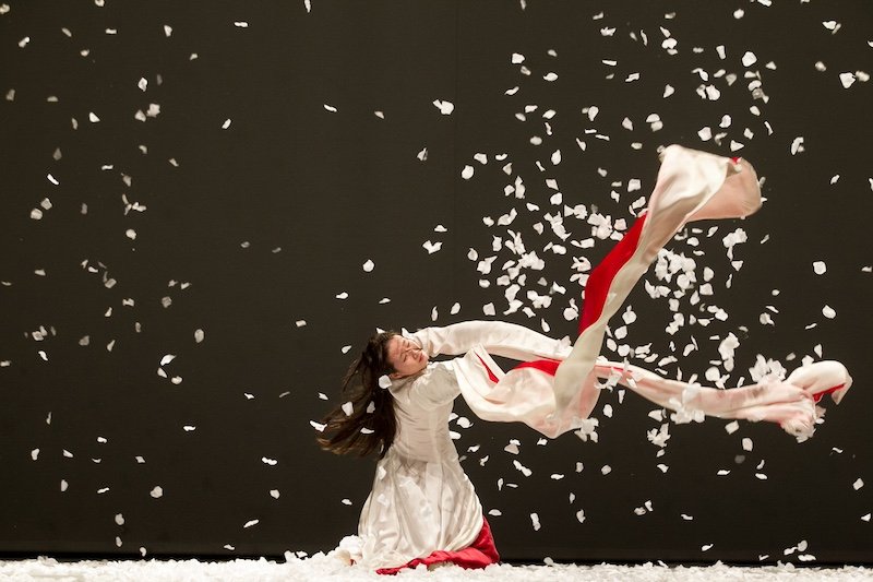 celebrating the 10th anniversary of the dance drama green robe2c wang yabin tells a chinese story with her body