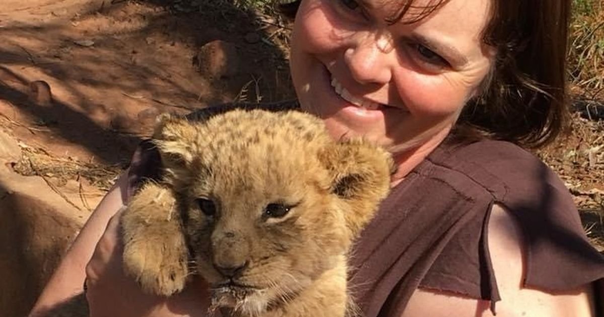 dedicated gloucester dentist provides dental care to rescued wildlife in south africa