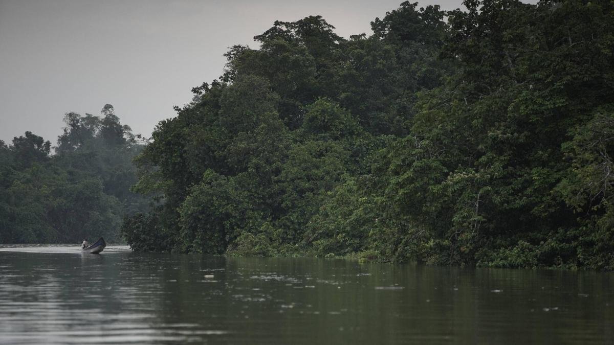 Do you like nature photography? Agenda del Mar opens registrations for the 15th edition of its photo contest