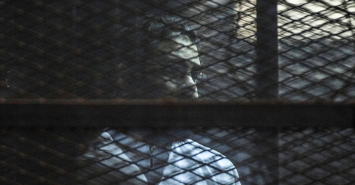 egypt pardons imprisoned british activist alaa abd el fattah