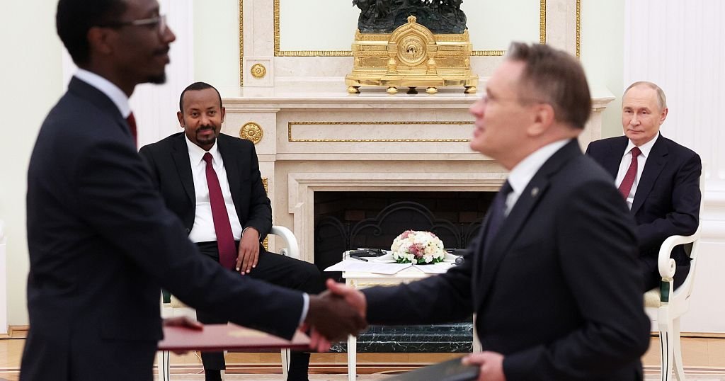ethiopia and niger to partner with russias rosatom for nuclear power plants