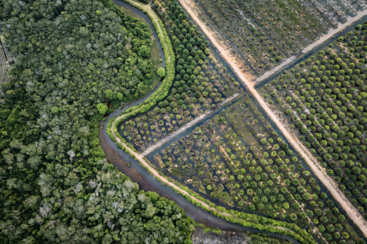 eu proposes new delay to anti deforestation rules