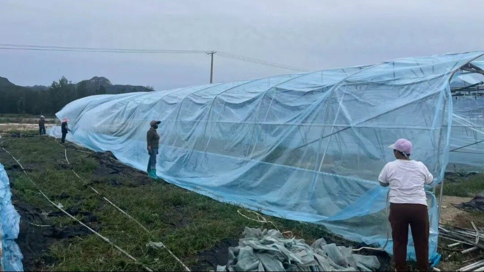 flood affected farmers in baoding2c how are they doing now3f