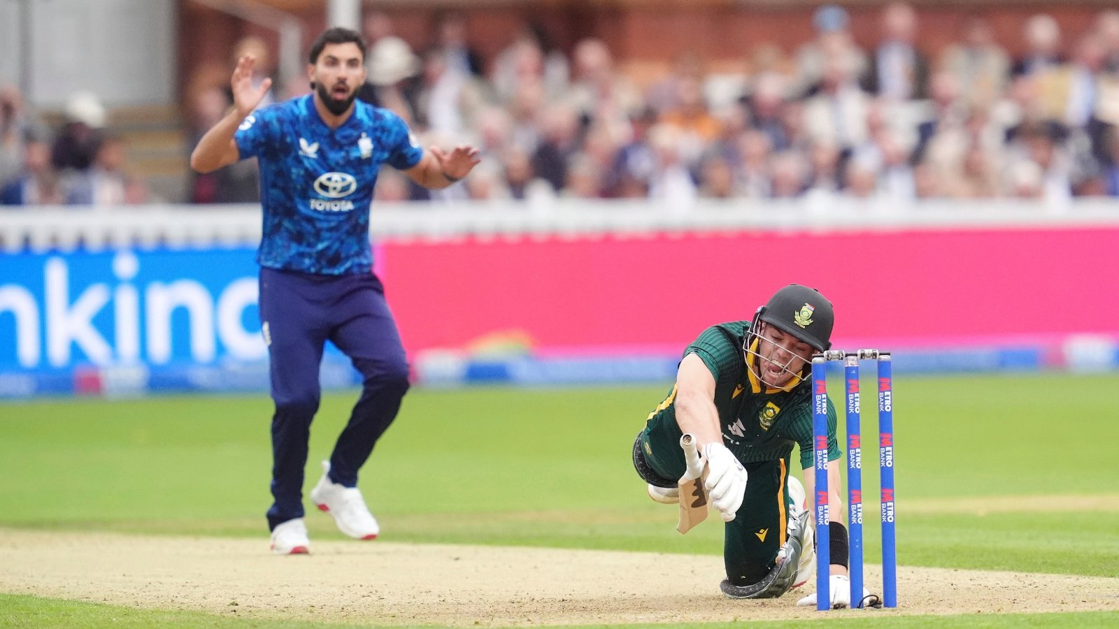 Full list of largest ODI wins after England beat South Africa by 342 runs
