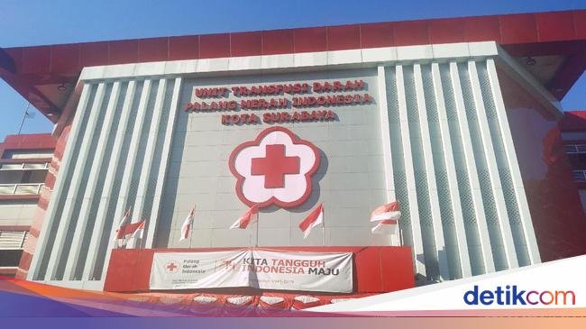 hari palang merah indonesia on september 17th2c this is pmis official contact in east java