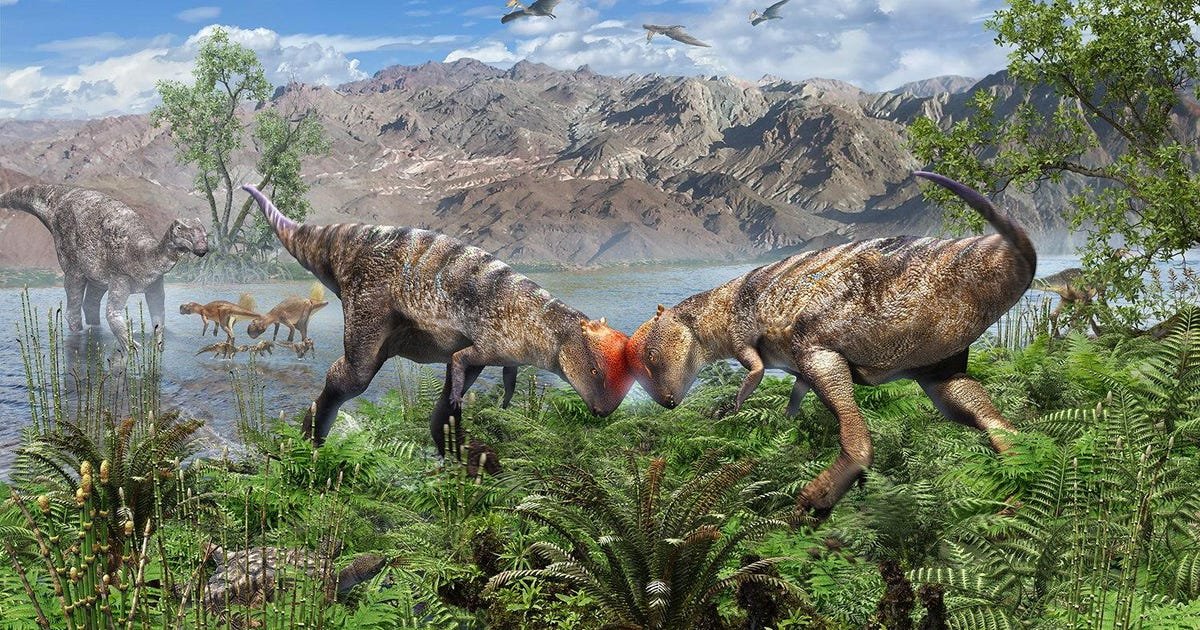 headed dinosaurs reached sexual maturity before their bodies finished growing