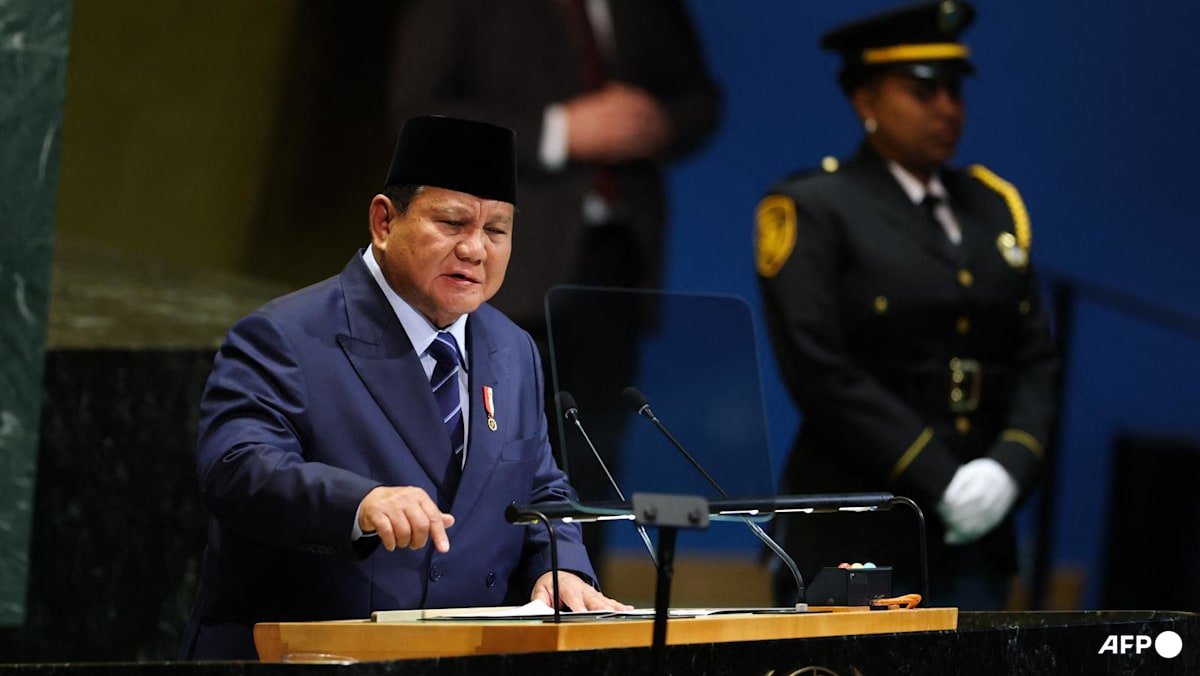indonesia offers 202c000 troops for post war gaza2c heartened by wave of recognition of palestinian statehood