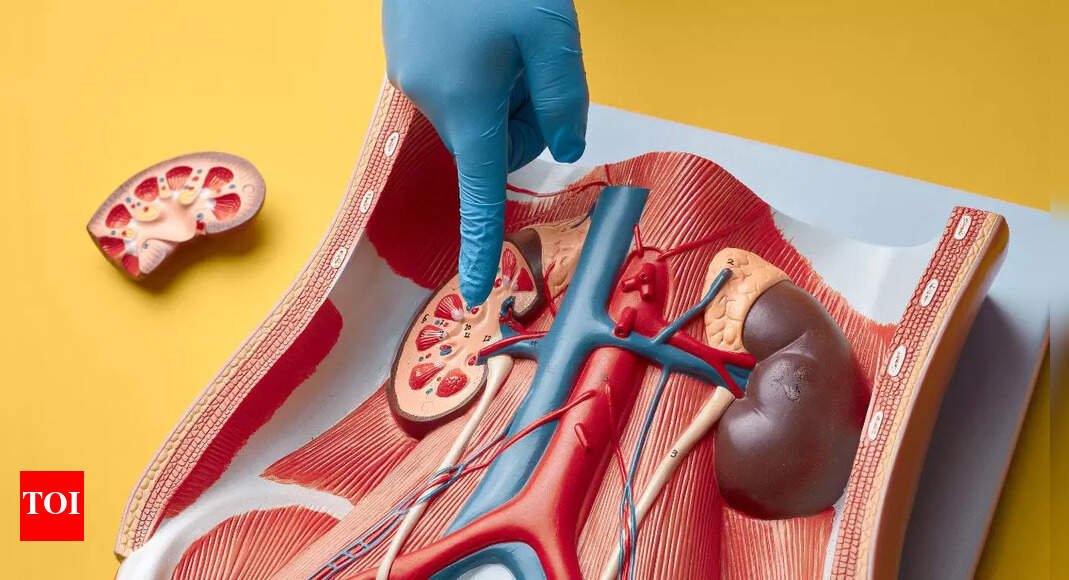 kidney cancer cases expected to double by 20503a 5 warning signs you should not ignore