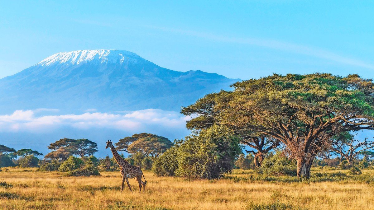 Looking for a great value holiday? Here are 12 of this week’s best