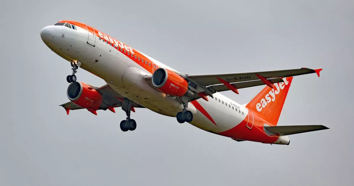 man arrested after nightmare easyjet flight lands in uk airport