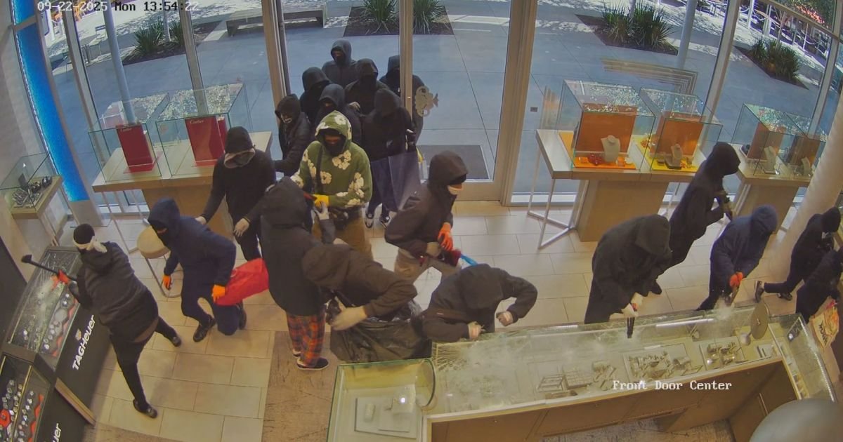 more than 20 criminals invade jewelry store and steal 241 million in the usa3b see