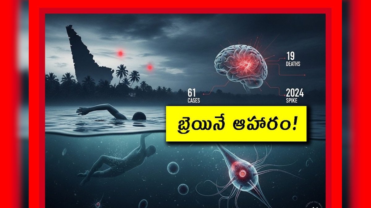 national news updates3a brain eating amoeba disease in kerala2c spreading through water