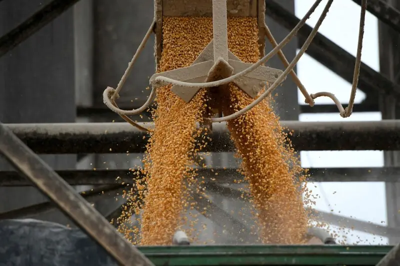 Pakistan to Export Corn as Iran Prepares Trade Mission