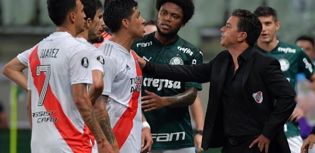 palmeiras and river plate3a similar models for revenue growth