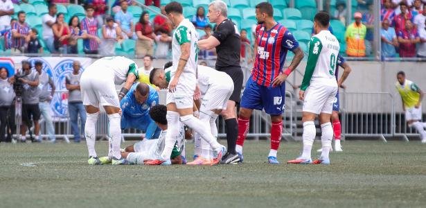 Palmeiras’ Midfielder Lucas Evangelista to Undergo Surgery and Will Miss the Rest of the Season