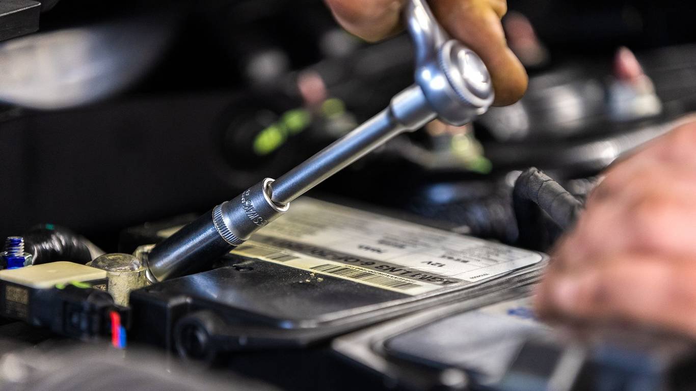 Revealed: Chinese hybrids do not need ‘secret’ oils