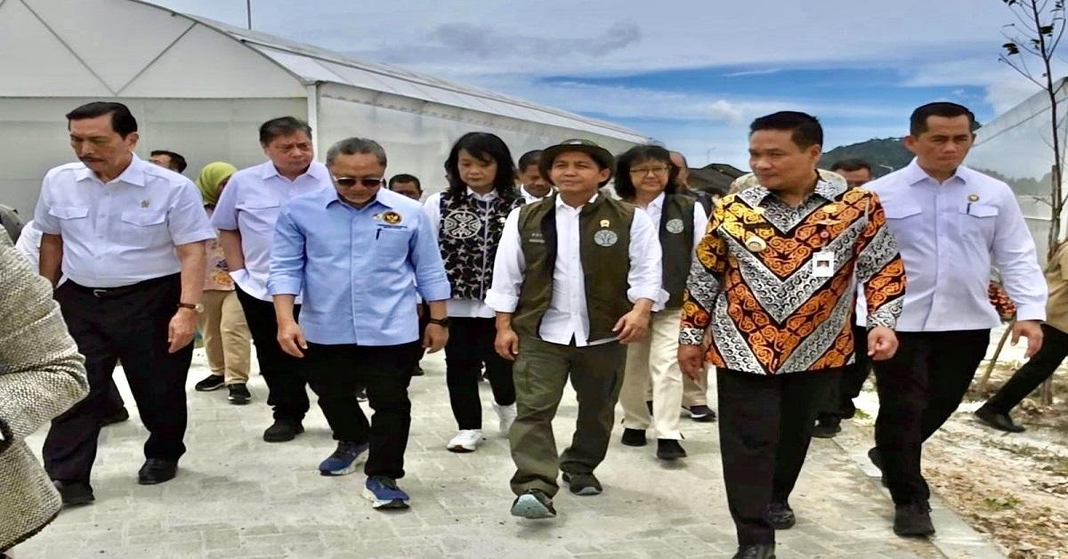 revealing 92c600 types of herbal plants in indonesia2c only 300 included in modern medicine