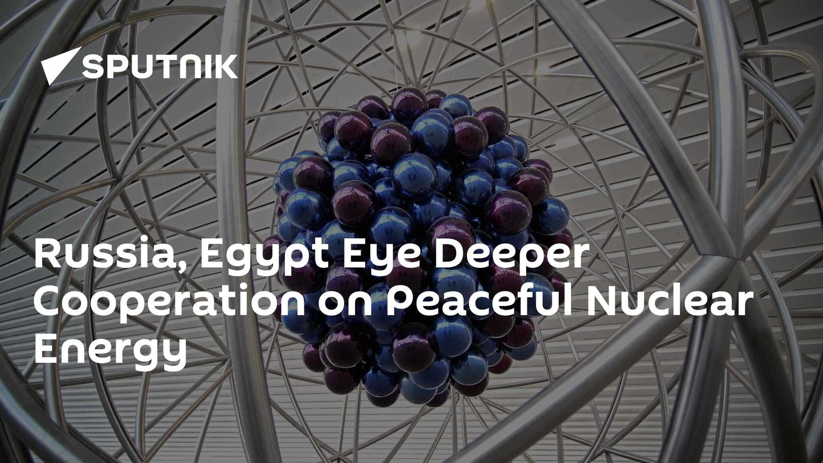Russia and Egypt Look to Strengthen Cooperation in Peaceful Nuclear Energy