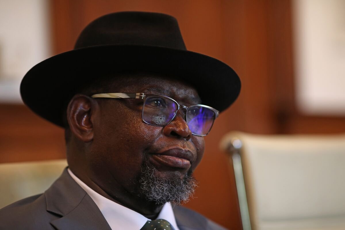 south african finance minister raises concerns about providing free healthcare to undocumented migrants