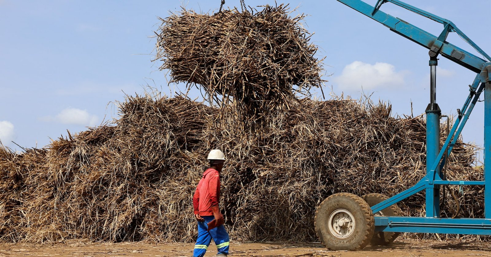 South Africa’s sugar farmers face ‘double whammy’ from Trump tariffs, cheap imports