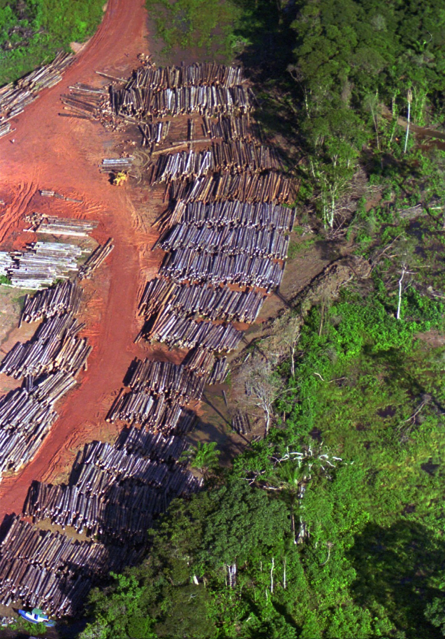 suriname forest protection
