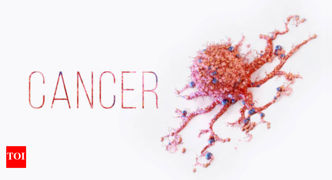 the influence of gut microbes on cancer therapy effectiveness