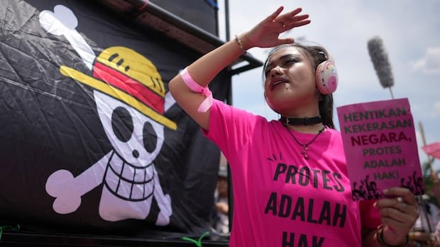 the rising popularity of the one piece animated pirate flag in gen z led protests worldwide