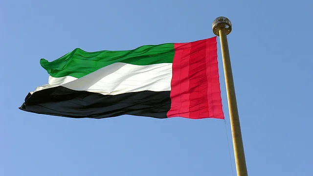 uae announces new visa categories for ai specialists2c cruise workers and others details