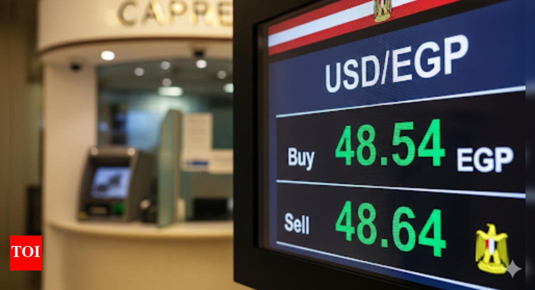 US dollar remains stable against Egyptian pound in major banks on September 1