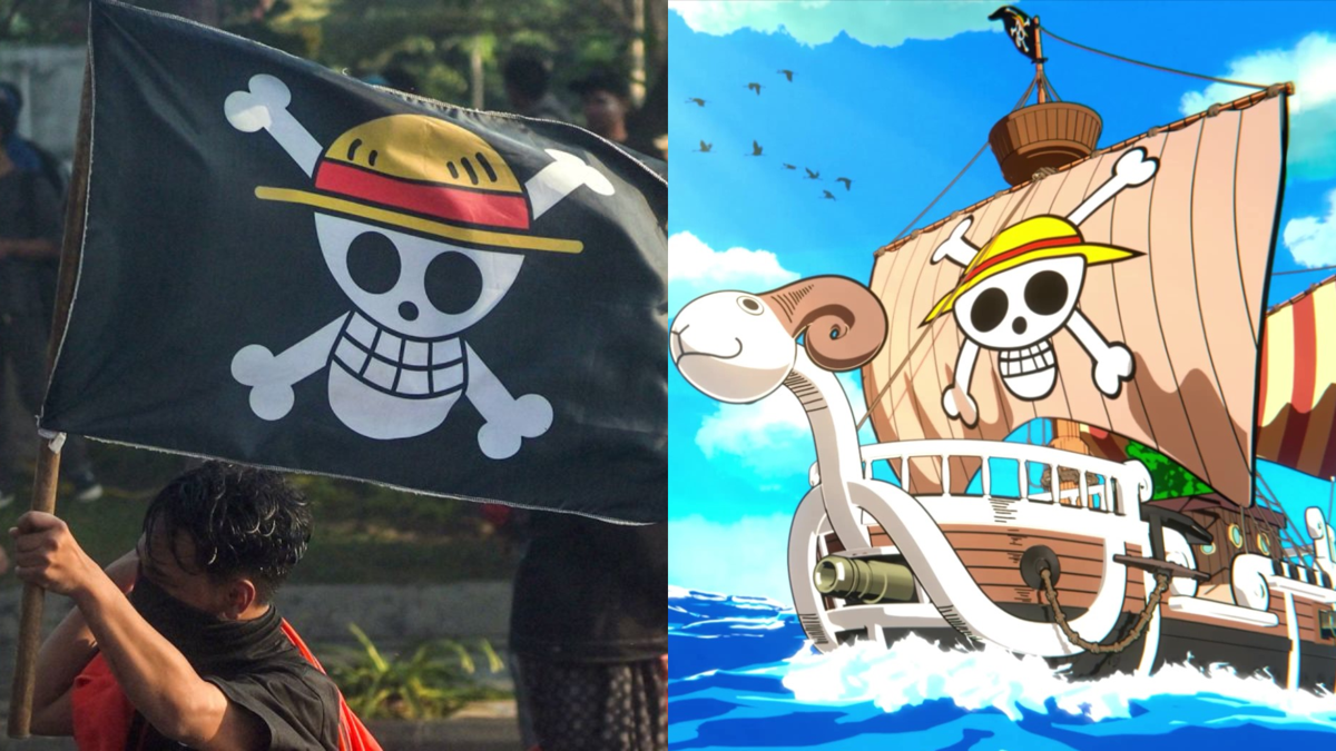 why has the one piece flag become a symbol in protests in brazil and around the world3f