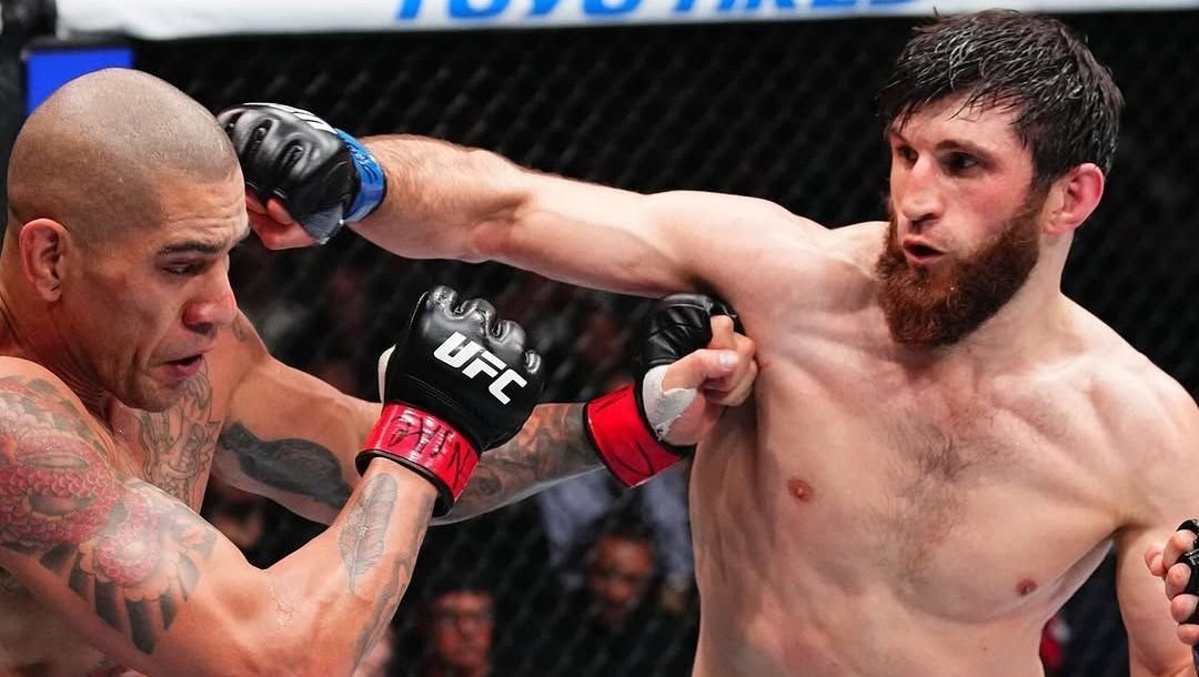 Alex Poatan Overruns Magomed Ankalaev and Reclaims UFC Title