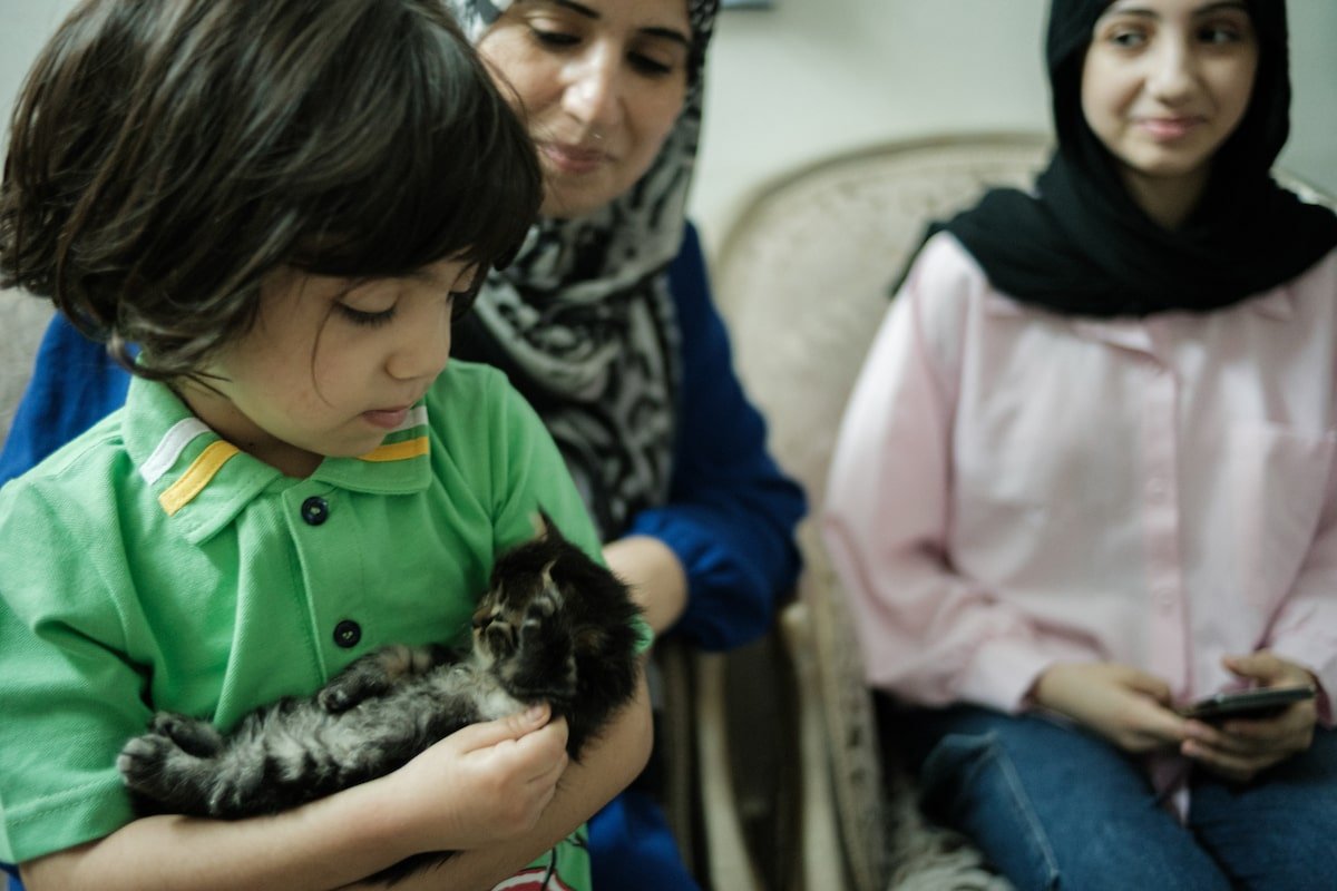 Fearing permanent exile, Palestinian refugees in Egypt struggle to rebuild their lives