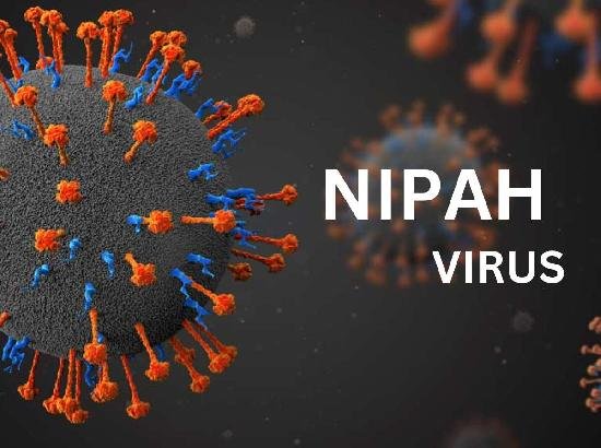 Has India Found a ‘Breakthrough’ for Nipah Virus? ICMR Makes Big Announcement, Read What’s Said?