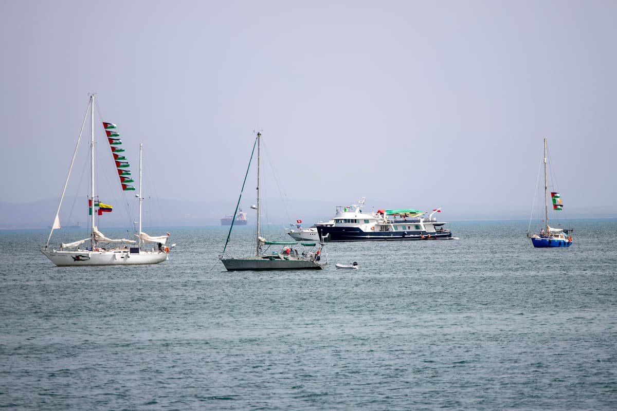 Irish Senator from Sinn Fein detained by Israel on Gaza-bound aid flotilla